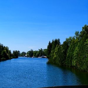 Meet your Posher, Marianne